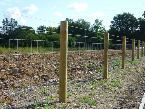 Stock Netting - Fower Fencing