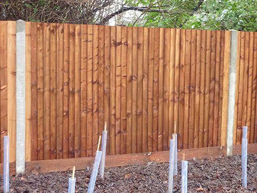 Close Boarded Domestic Fencing - Fowler Fencing