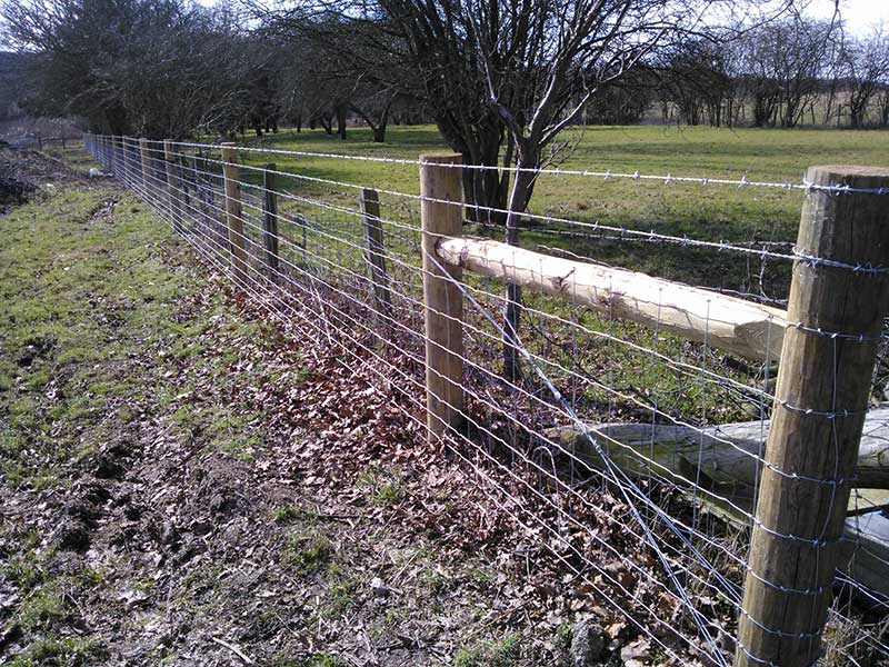 Agricultural Fencing in Cambridgeshire by Fowler Fencing