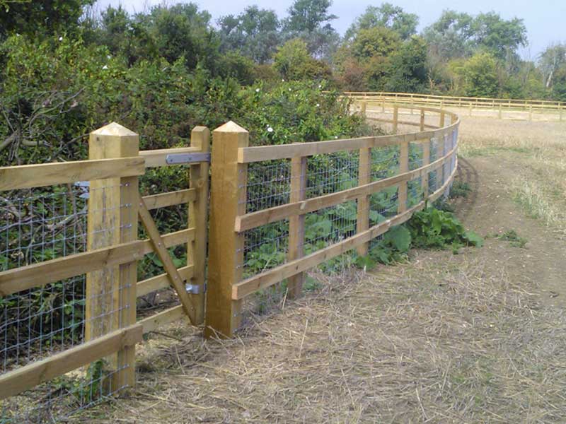 Agricultural Fencing in Essex by Fowler Fencing