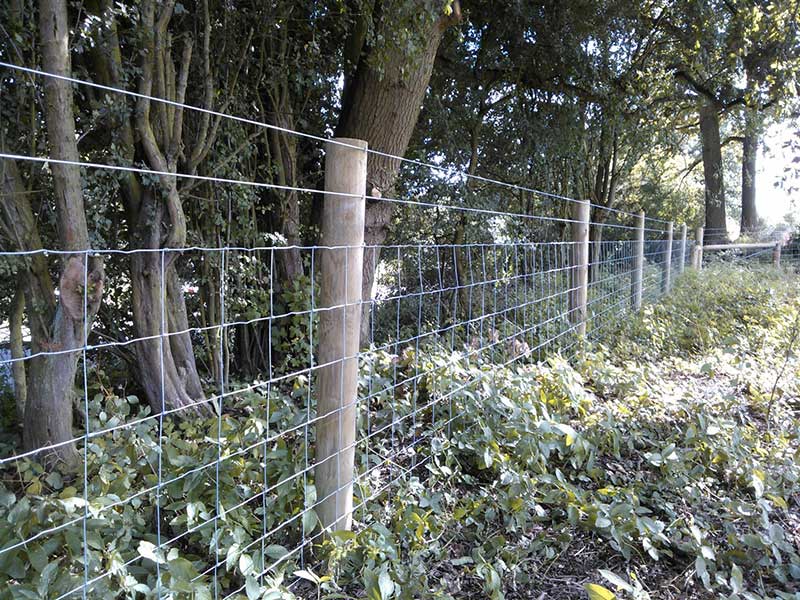 Sheep Netting by Fowler Fencing